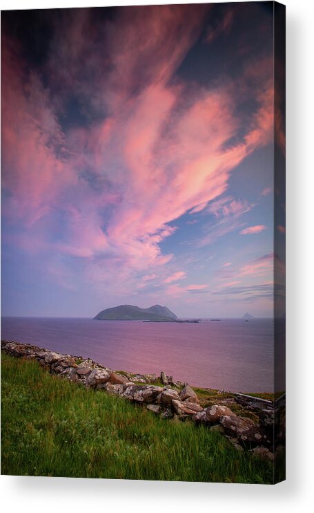 Pink Acrylic Print featuring the photograph Great Blasket Pink Delight by Mark Callanan