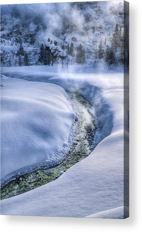 Yellowstone Acrylic Print featuring the photograph Green Bend in Yellowstone by Laura Hedien