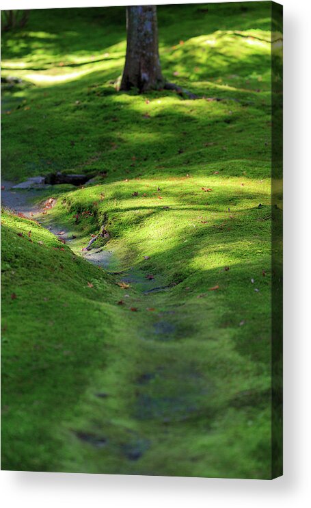Fertilizer Acrylic Print featuring the photograph Green Ground by Jason KS Leung