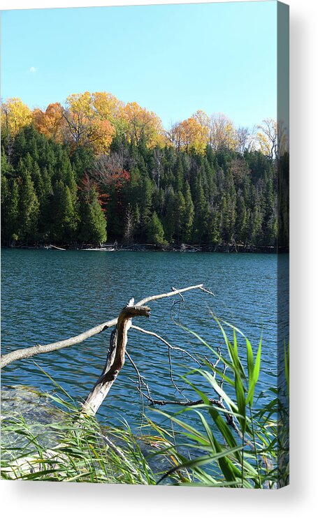 Nature Acrylic Print featuring the photograph Green Lakes State Park by Flinn Hackett