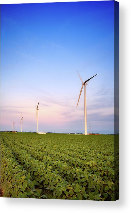 Wind Acrylic Print featuring the photograph Green power by Alexey Stiop