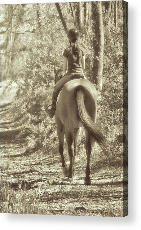 Barn Acrylic Print featuring the photograph Hacking by Jamart Photography