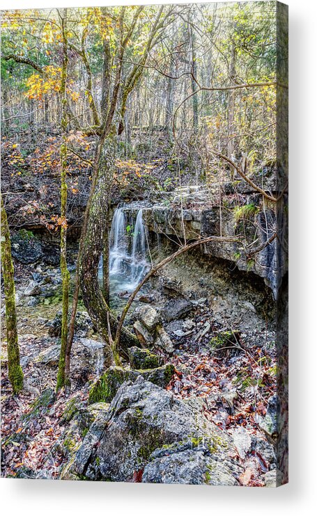 Ruth And Paul Henning Conservation Area Acrylic Print featuring the photograph Henning Waterfall In The Woods by Jennifer White