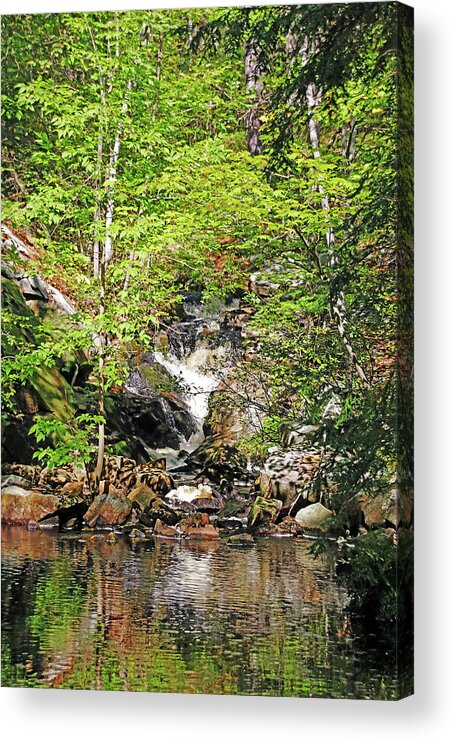 Moon River Acrylic Print featuring the photograph Hidden Falls In The Forest by Debbie Oppermann