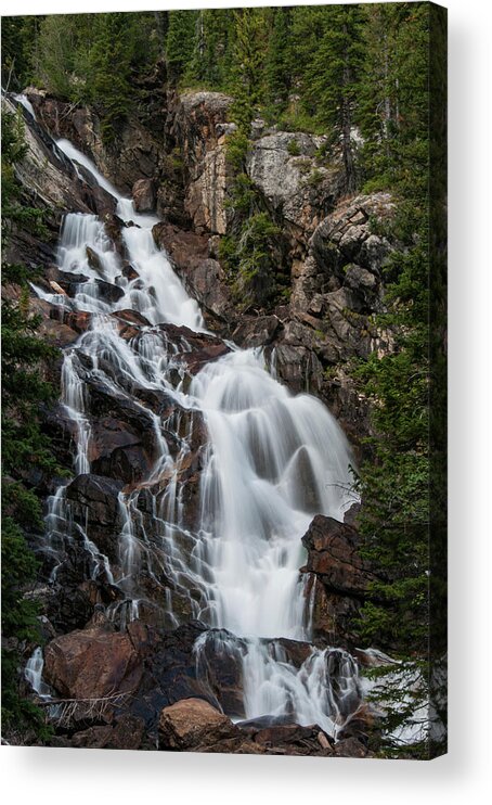 Grand Teton National Park Acrylic Print featuring the photograph Hidden Falls by Melissa Southern