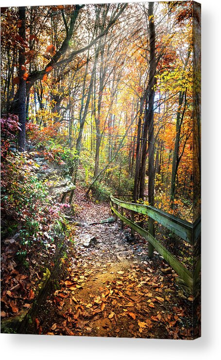 Cherokee Acrylic Print featuring the photograph Hiking the Rim at Cloudland Canyon by Debra and Dave Vanderlaan