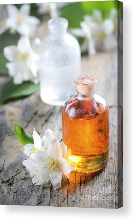 Essential Acrylic Print featuring the photograph Homemade Essential oil and fresh jasmine flower by Jelena Jovanovic