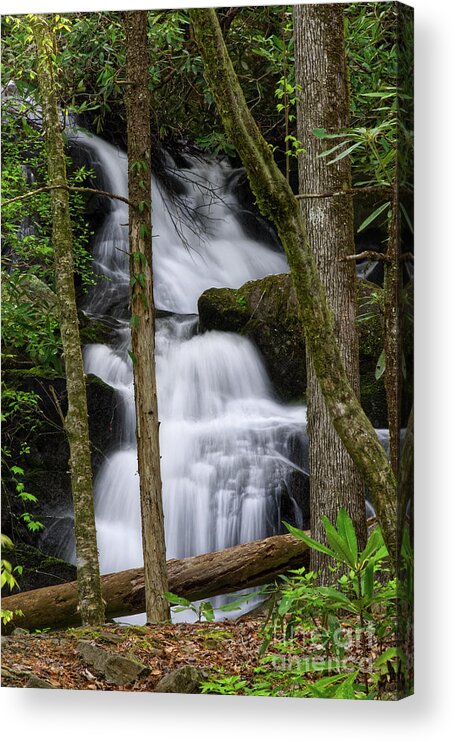 Honey Cove Falls Acrylic Print featuring the photograph Honey Cove Falls 4 by Phil Perkins