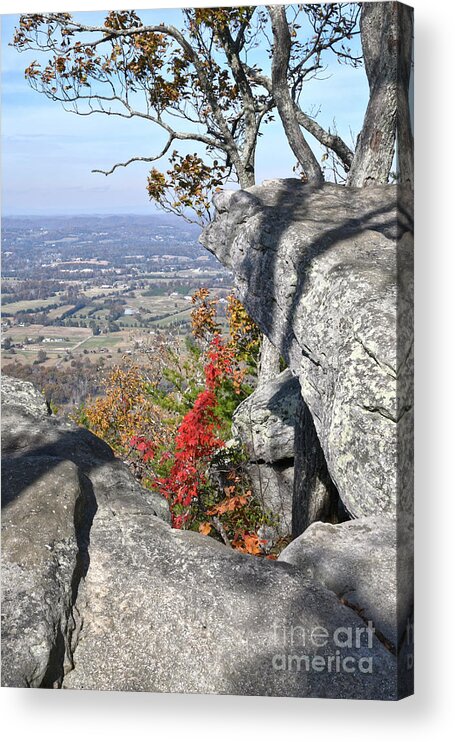 House Mountain Acrylic Print featuring the photograph House Mountain 16 by Phil Perkins