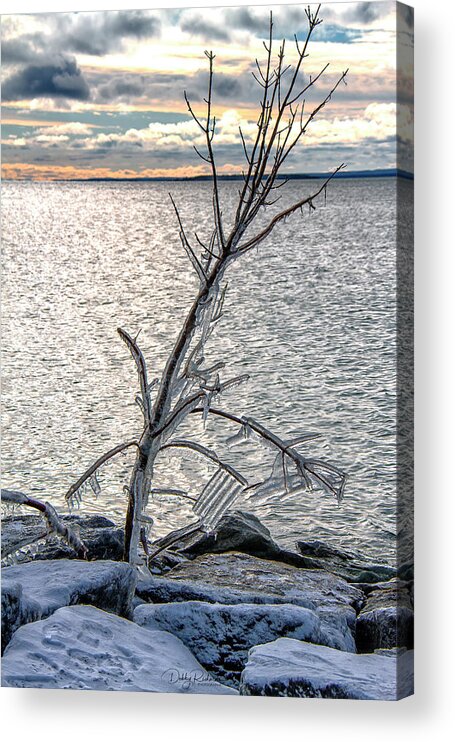 Ice Acrylic Print featuring the photograph Icy Tree on Thunder Bay by Debby Richards