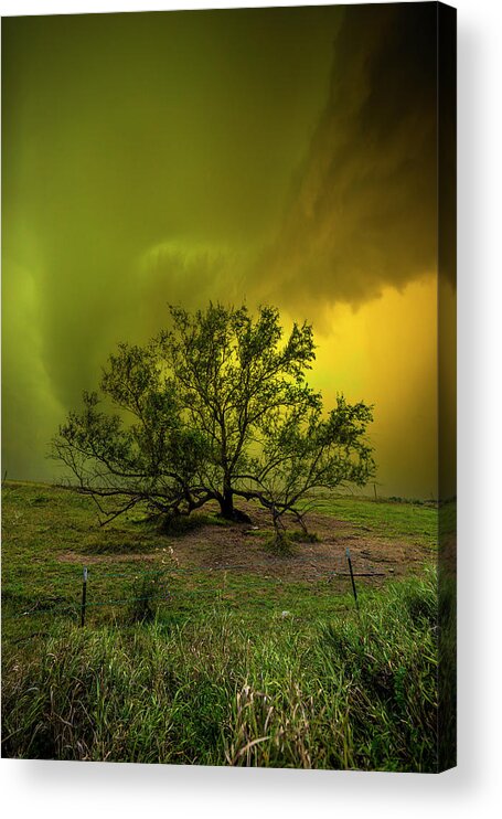 Tree Acrylic Print featuring the photograph In My Darkest Hour by Aaron J Groen