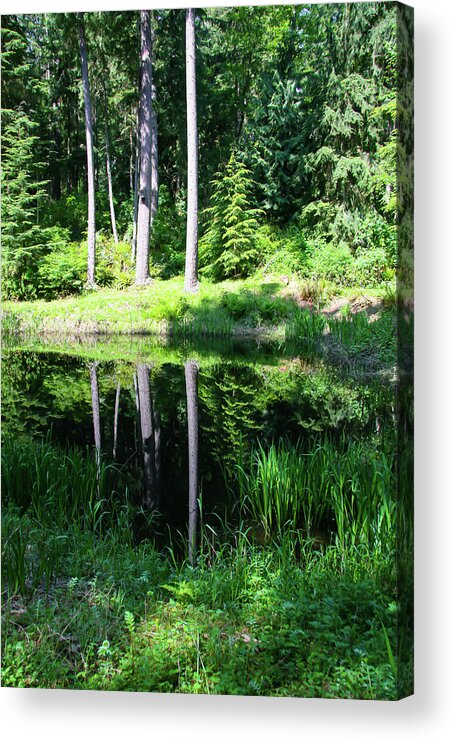 Hike Acrylic Print featuring the photograph In the trees by Leslie Struxness