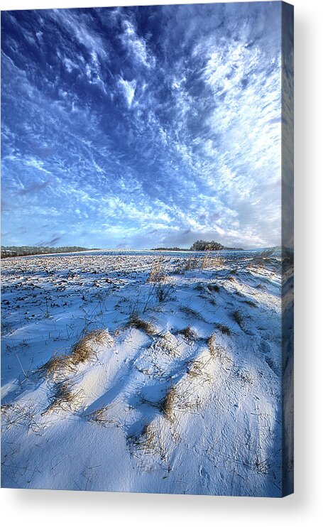 Fineart Acrylic Print featuring the photograph January Blues by Phil Koch