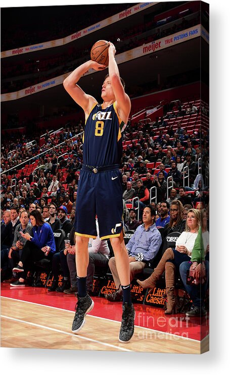 Jonas Jerebko Acrylic Print featuring the photograph Jonas Jerebko by Chris Schwegler