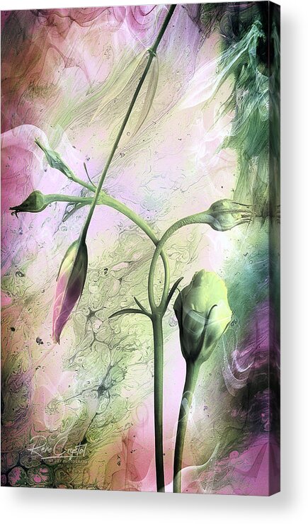 Floral Acrylic Print featuring the photograph Just A Bunch Of Buds by Rene Crystal