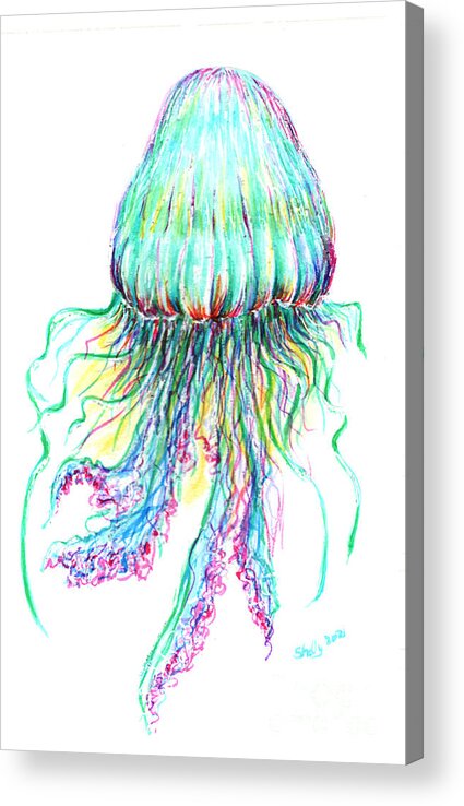 Jellyfish Acrylic Print featuring the painting Key West Jellyfish Study 2 by Shelly Tschupp
