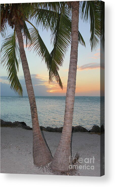 Key West; Florida; Sunset; Palm Trees; Trees; Beach; Sand; Ocean; Sea; Clouds; Water; Waves; Palm Fronds; Vertical; Wood; Acrylic Print featuring the photograph Key West Sunset by Tina Uihlein