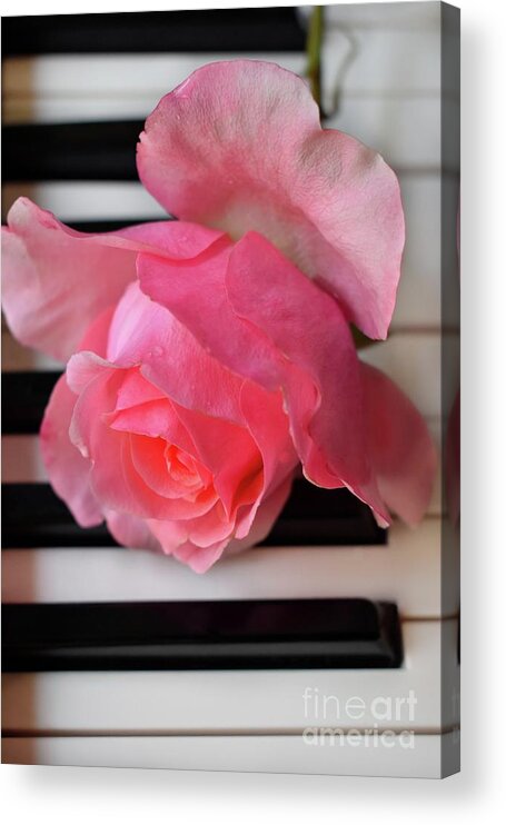 Music Acrylic Print featuring the photograph Kiss From A Rose Maria Callas On The Piano by Leonida Arte