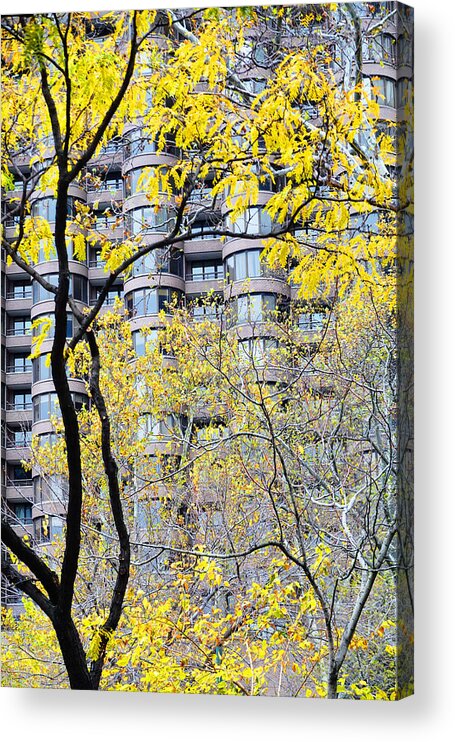 Nature Acrylic Print featuring the photograph Late Autumn - A Murray Hill Impression by Steve Ember