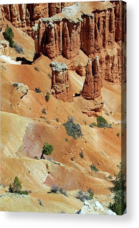 Utah Acrylic Print featuring the photograph Layers Of Land - Bryce Canyon by Jennifer Robin