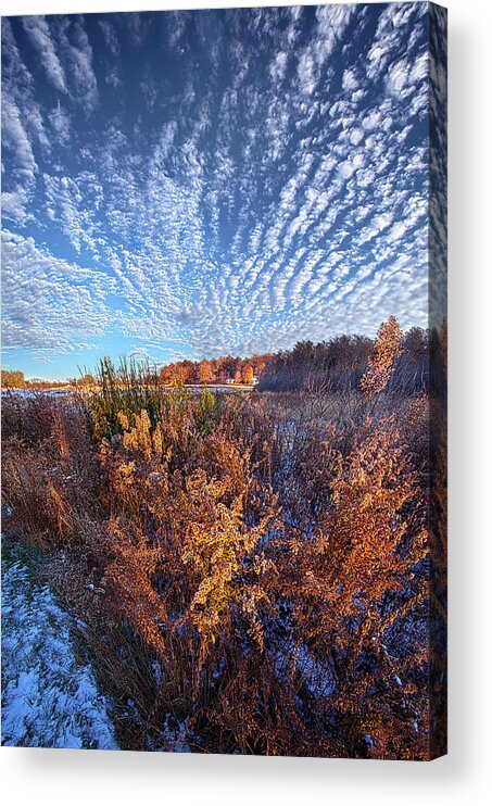 Fineart Acrylic Print featuring the photograph Life is a Balance by Phil Koch