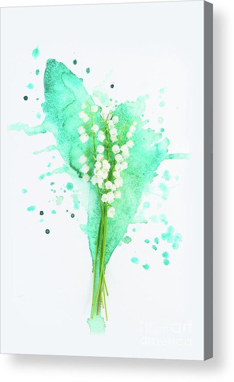 Lilly Of The Valley Acrylic Print featuring the photograph Lilly of the valley on watercolor by Anastasy Yarmolovich
