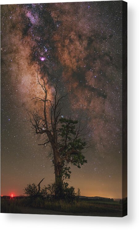 Nightscape Acrylic Print featuring the photograph Lone Tree by Grant Twiss