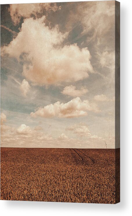 Land Acrylic Print featuring the photograph Loneliness by Yasmina Baggili
