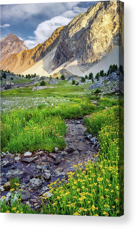 Nature Acrylic Print featuring the photograph Lost River Mountains Meadow by Leland D Howard