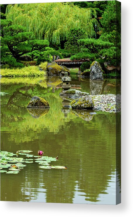 Outdoor; Summer; Japanese Garden; Seattle; City; Park; Water Lilies; Lotus; Pond; Acrylic Print featuring the digital art Lotus in Japanese Garden by Michael Lee