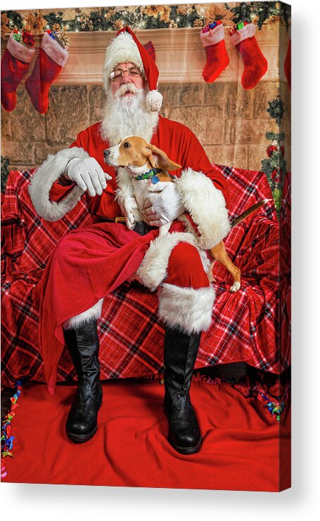 Lucy Acrylic Print featuring the photograph Lucy with Santa 1 by Christopher Holmes