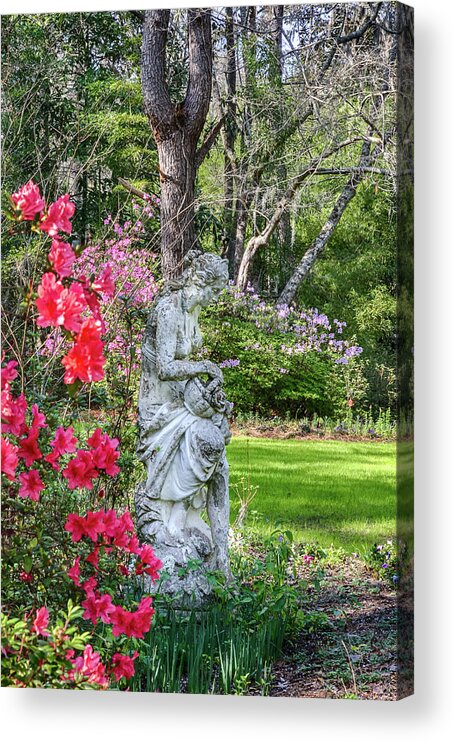  Acrylic Print featuring the photograph Magnolia Nymph by Jim Miller