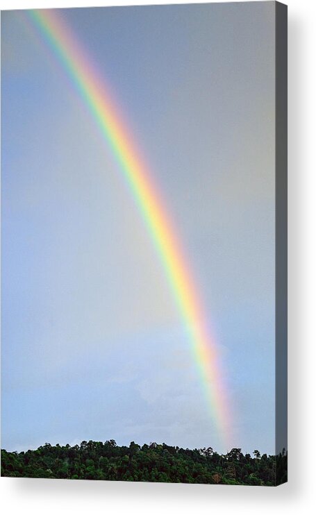 Tropical Rainforest Acrylic Print featuring the photograph Majestic view of rainbow over rain forest. by Shaifulzamri