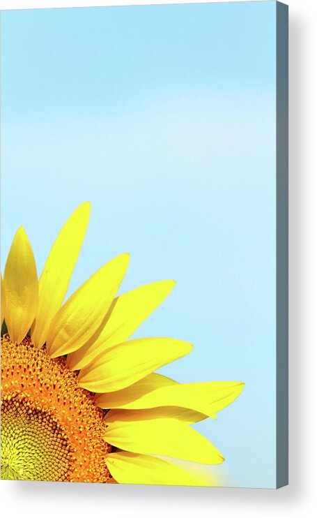 Sunflower Acrylic Print featuring the photograph Make My Day by Lens Art Photography By Larry Trager