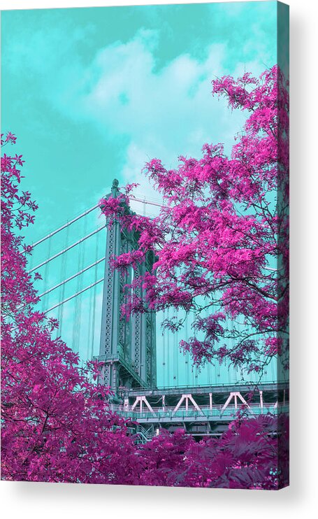 Architecture Acrylic Print featuring the photograph Manhattan Bridge Through Pink Leaves by Auden Johnson