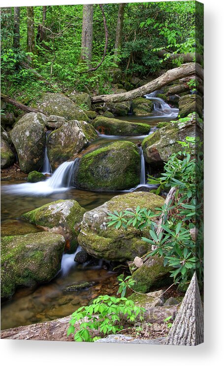 Margarette Falls Acrylic Print featuring the photograph Margarette Falls 20 by Phil Perkins