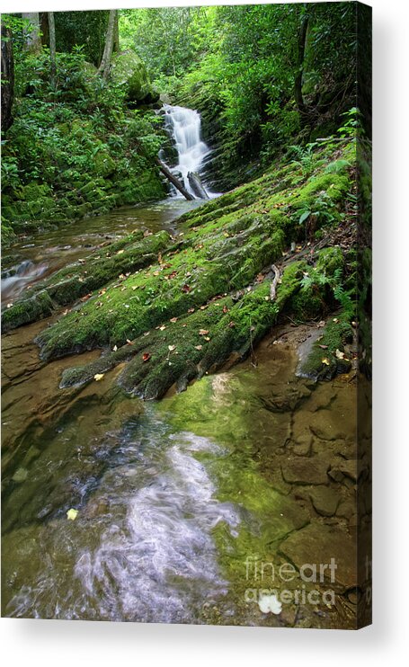 Margarette Falls Acrylic Print featuring the photograph Margarette Falls 32 by Phil Perkins