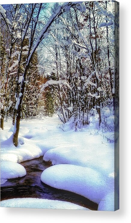Photographs Acrylic Print featuring the photograph Michigan Snowscene by John A Rodriguez