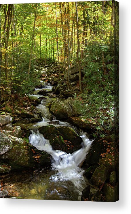 Creek Acrylic Print featuring the photograph Middle Prong by Gina Fitzhugh