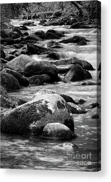 Middle Prong Trail Acrylic Print featuring the photograph Middle Prong Little River 7 by Phil Perkins