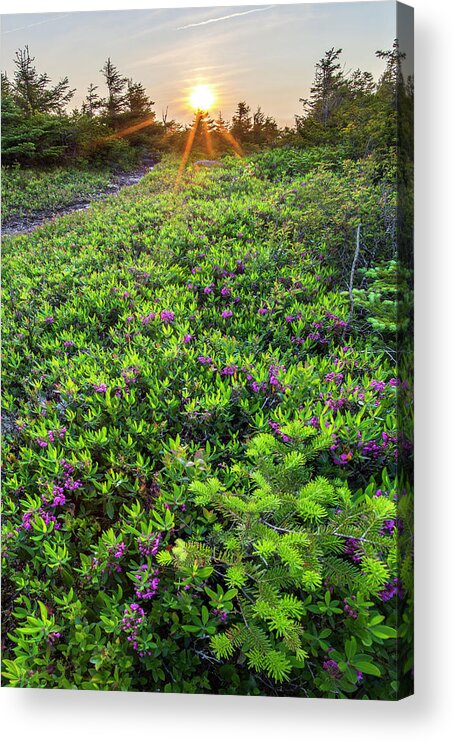 Mittersill Acrylic Print featuring the photograph Mittersill Hazy Sunset Vertical by White Mountain Images