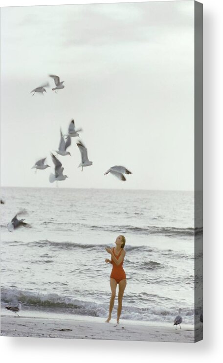 Fashion Acrylic Print featuring the photograph Model on the Beach in a Jantzen Bathing Suit by Bert Stern
