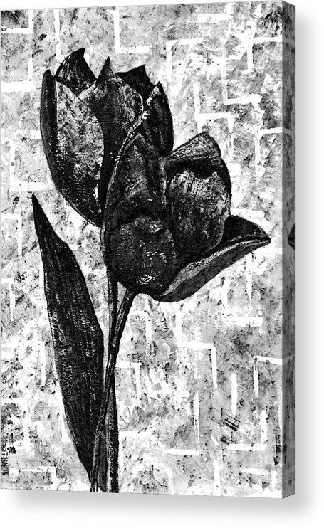 https://render.fineartamerica.com/images/rendered/default/acrylic-print/6.5/10/hangingwire/break/images/artworkimages/medium/3/monochromatic-black-white-flower-duo-abstract-joi-at-the-ranch.jpg