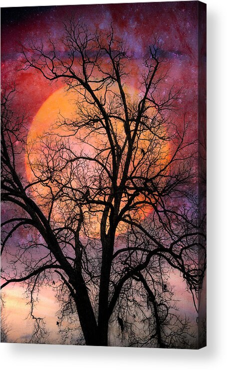Carolina Acrylic Print featuring the photograph Moon in the Branches by Debra and Dave Vanderlaan