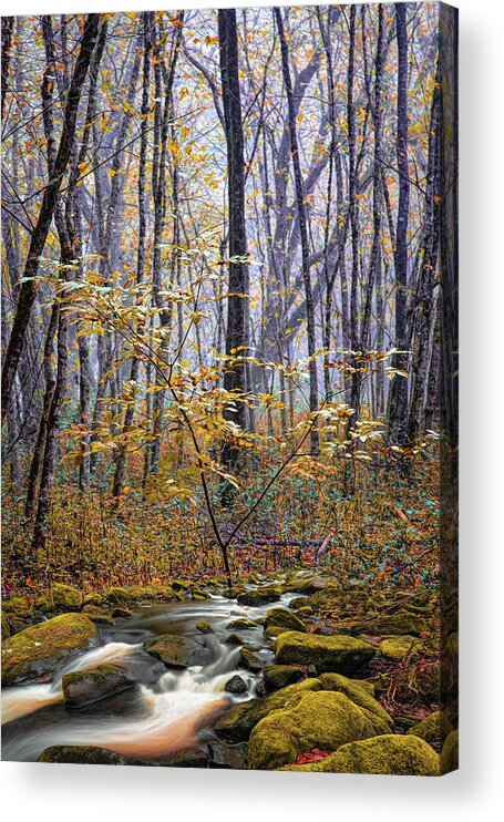 Creek Acrylic Print featuring the photograph Mossy Creek through the Autumn Woods by Debra and Dave Vanderlaan