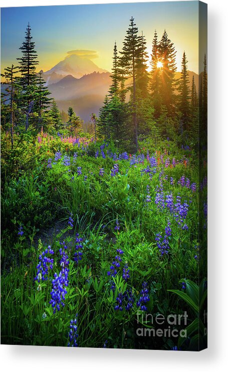 America Acrylic Print featuring the photograph Mount Rainier Sunburst by Inge Johnsson