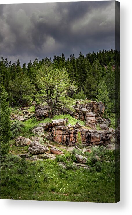 Rocky Outcropping Acrylic Print featuring the photograph Mountain Oasis by Laura Terriere