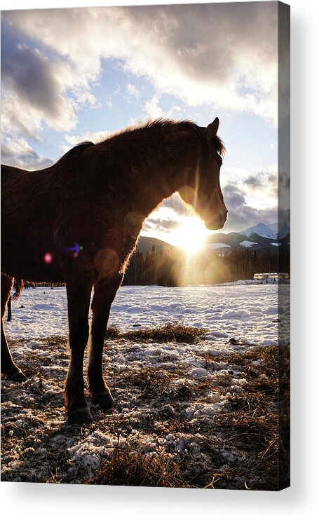 Winter Acrylic Print featuring the photograph Mountain Sunset by Listen To Your Horse