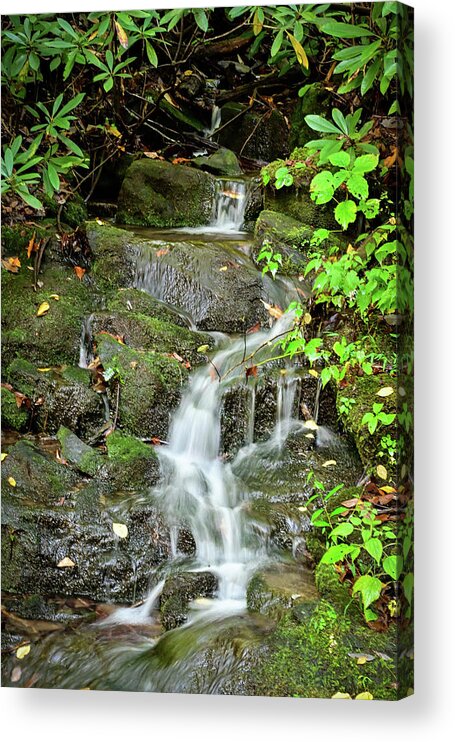 Nature Acrylic Print featuring the photograph Mountain Trickle by Ed Stokes