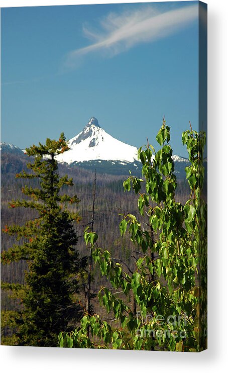 Mt. Washington Acrylic Print featuring the photograph Mt. Washington by Cindy Murphy